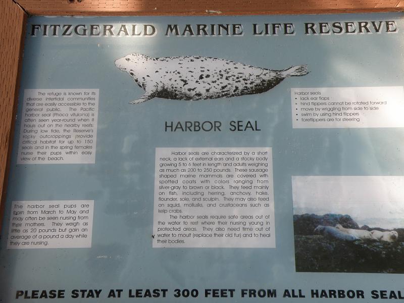 P6182014 Fitzgerald Reserve.JPG